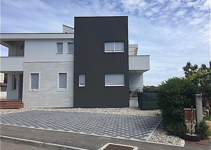 Peti * Πούλα