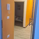 Peti Pula